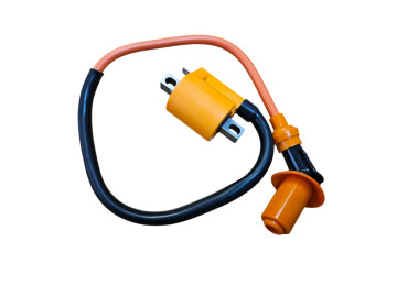 (18B3a) Bobine / bougiedop